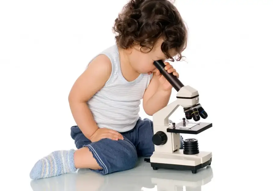 初学者指导显微镜