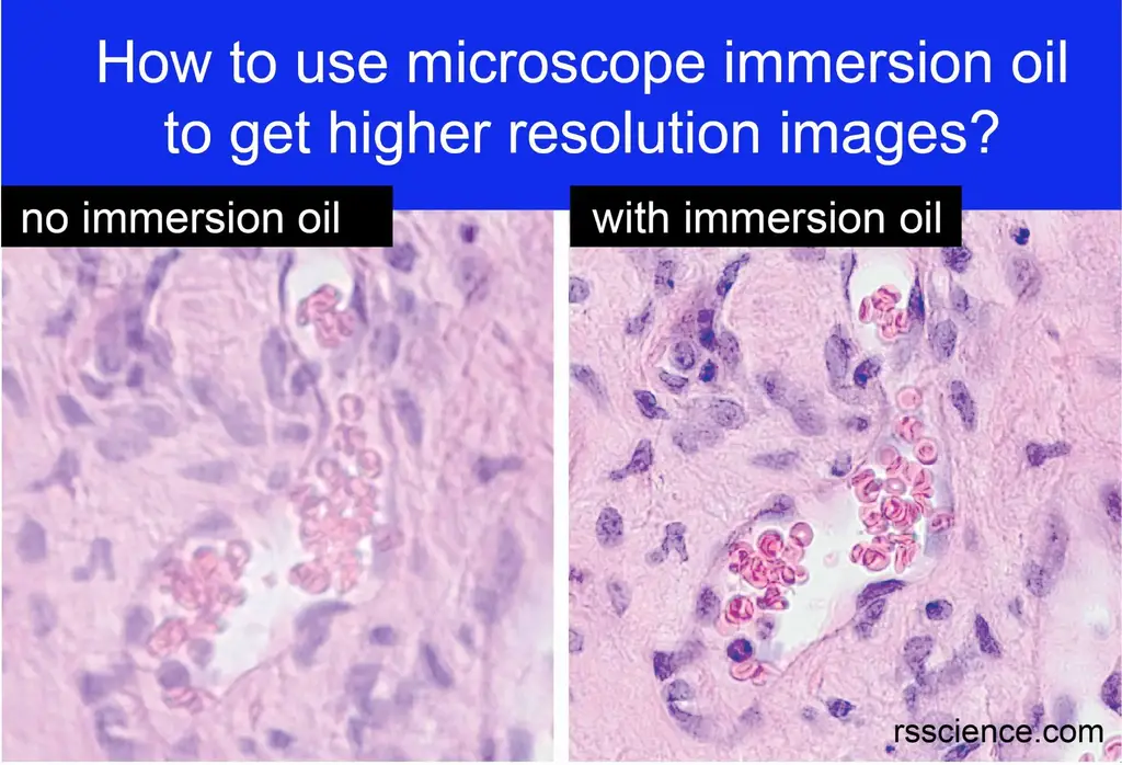 如何使用显微镜浸渍油获得更高的图像