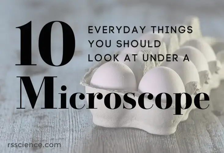 你应该在显微镜下看的10件事