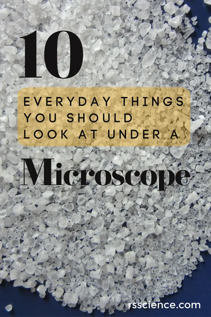 10件你应该在显微镜下观察的日常事物