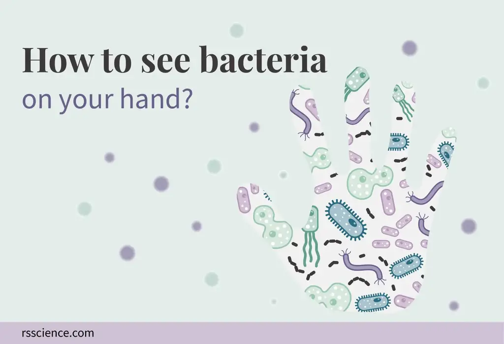如何看到手上的细菌