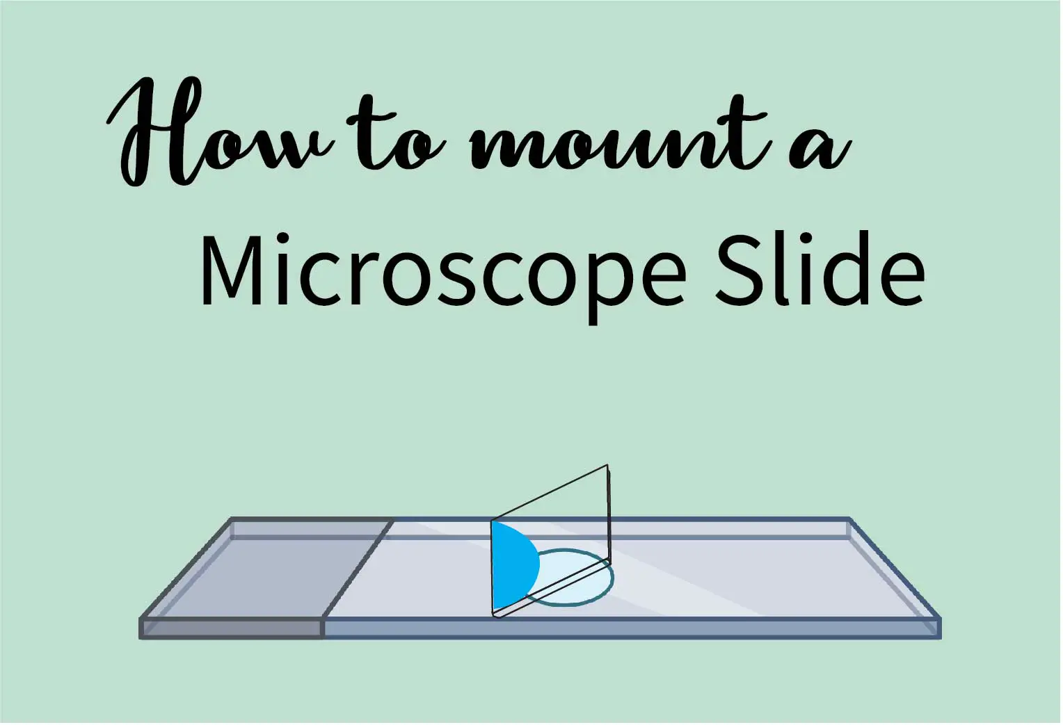 如何安装显微镜载玻片