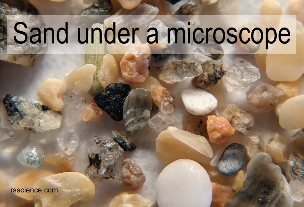 显微镜下的沙子