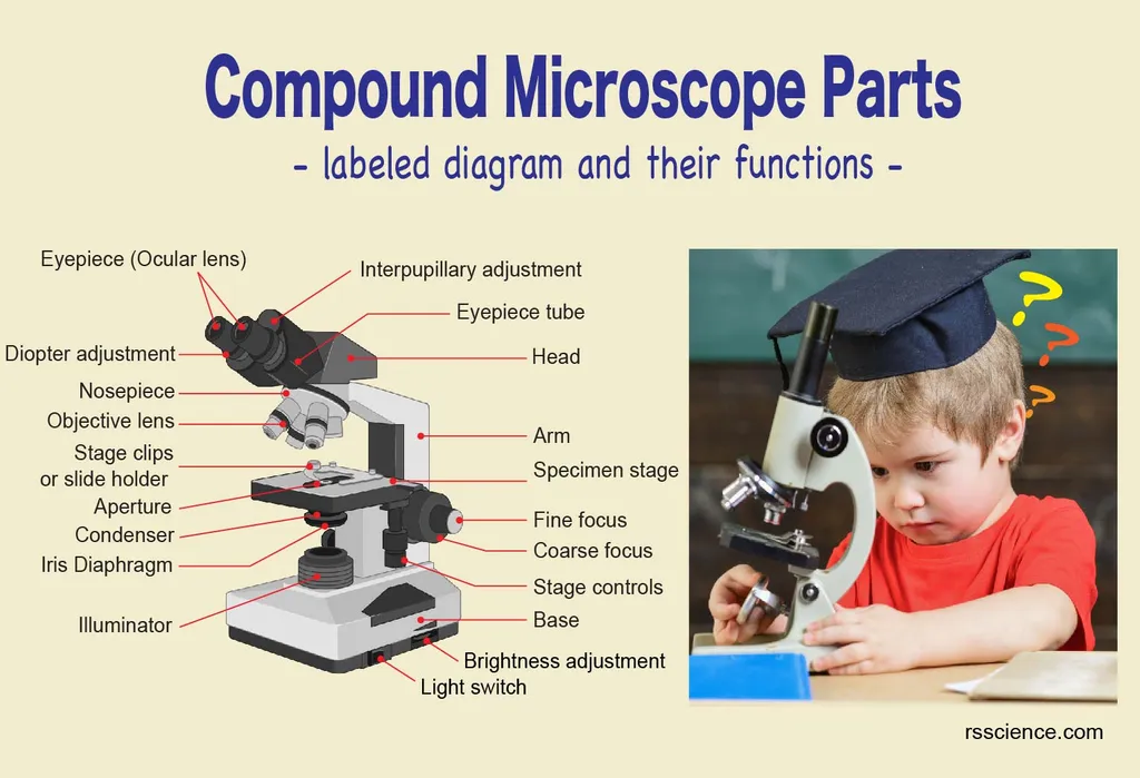 复合显微镜零件标签
