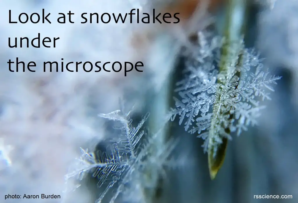 显微镜下的雪花
